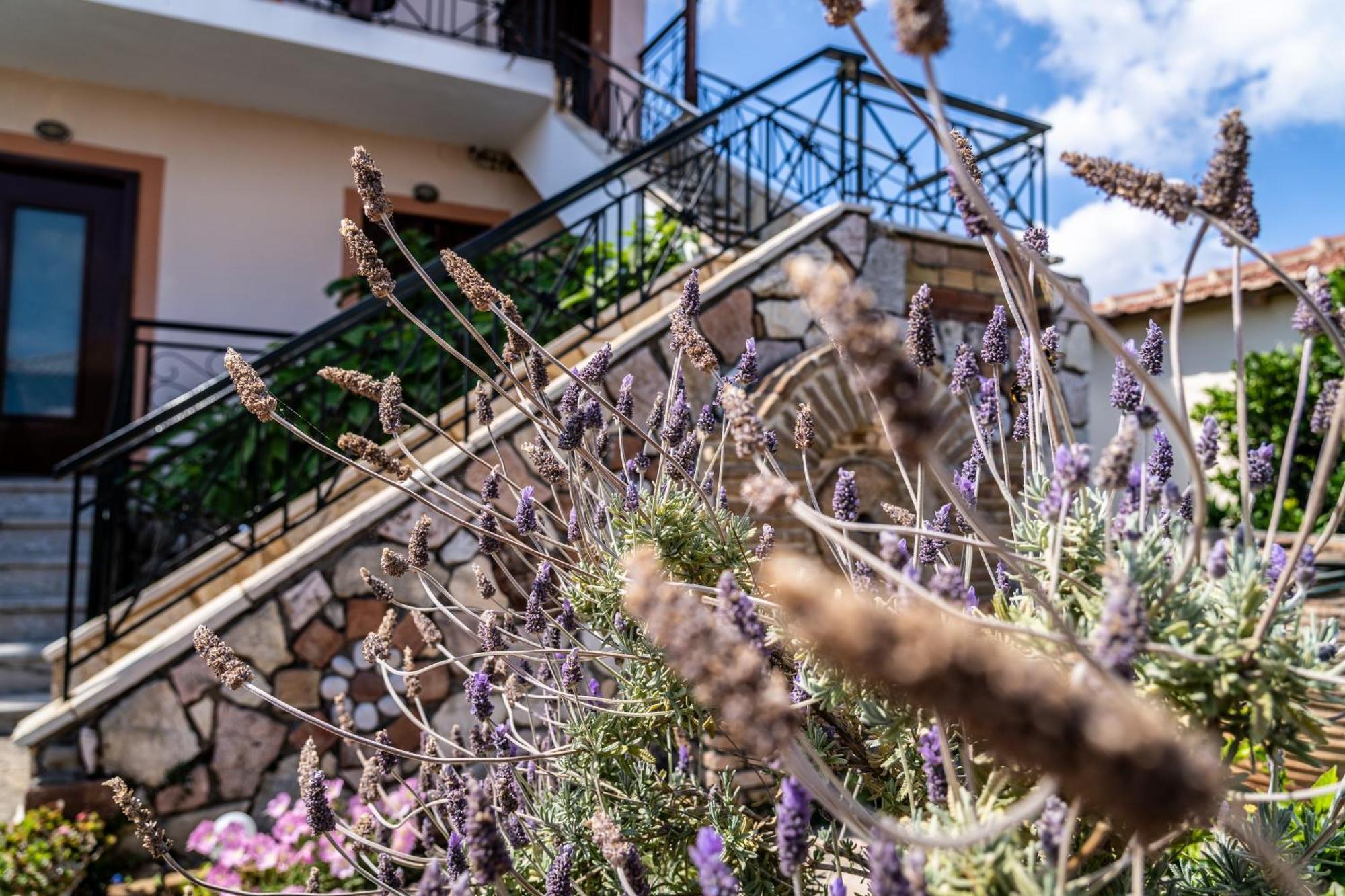 Koroni Family House With The Best View 84 Sqm Zewnętrze zdjęcie